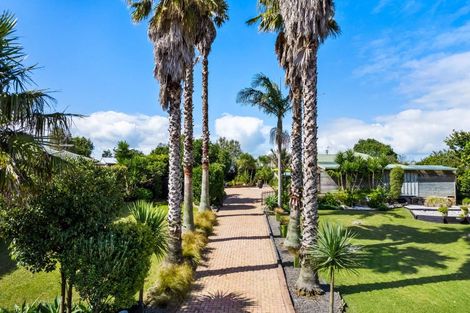 Photo of property in 49 Shelly Beach Road, Shelly Beach, Helensville, 0874