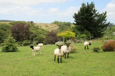 Photo of property in 374 Mangaone Road, Halcombe, Feilding, 4779