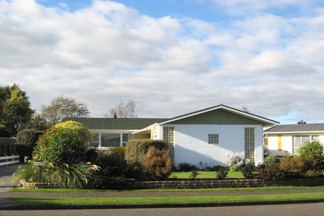 Photo of property in 17 Burn Street, Levin, 5510