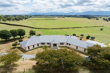 Photo of property in 240 Gunn Road, Waharoa, 3474