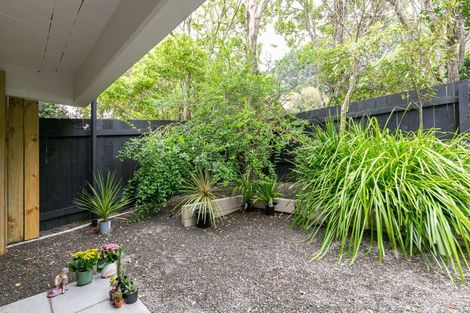 Photo of property in Park Mews, 5/62 Moxham Avenue, Hataitai, Wellington, 6021