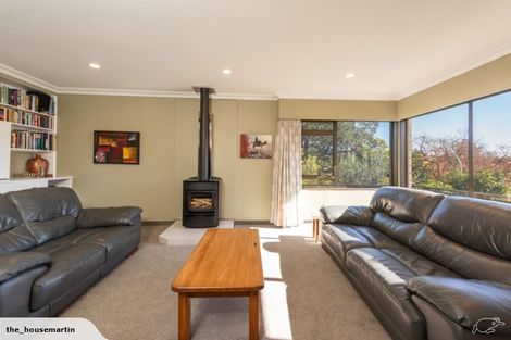 Photo of property in 397 Trafalgar Street, Nelson, 7010