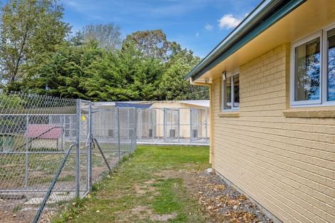 Photo of property in 8 Newton Place, Amberley, 7410