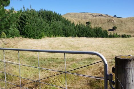 Photo of property in 487 Whangamata Road, Kinloch, Taupo, 3377