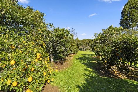 Photo of property in 23 Landing Road, Kerikeri, 0230