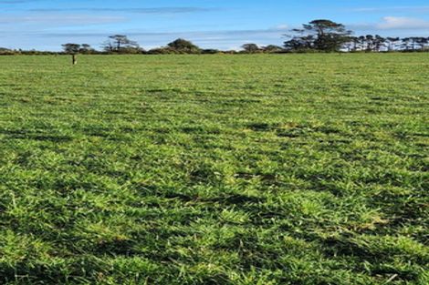 Photo of property in 5 Robson Court, Gate Pa, 3112