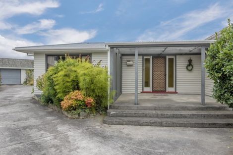 Photo of property in 158 Winchester Street, Levin, 5510
