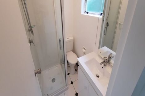 Photo of property in 64 Rolleston Street, Mount Cook, Wellington, 6021