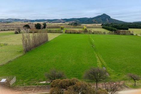 Photo of property in 53 Bushey Park Road, Bushey, Palmerston, 9482