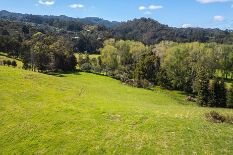Photo of property in 1 Albert Street, Coromandel, 3506