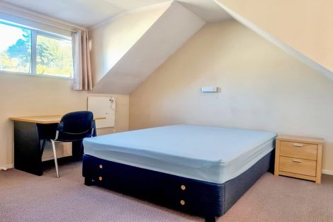 Photo of property in 119 North Road, North East Valley, Dunedin, 9010