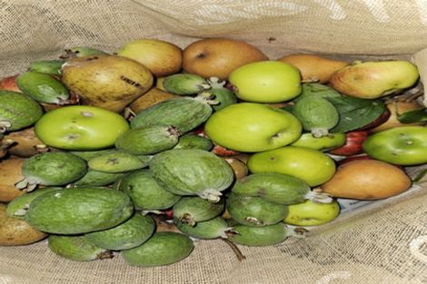 Photo of property in 42-44 Cheshire Street, Cannons Creek, Porirua, 5024