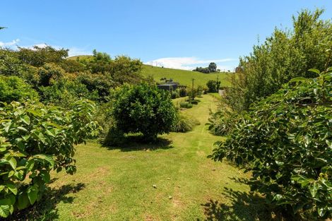 Photo of property in 29 Whakamarama Road, Whakamarama, Tauranga, 3179