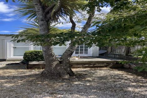 Photo of property in 171 Park Road, Grafton, Auckland, 1023