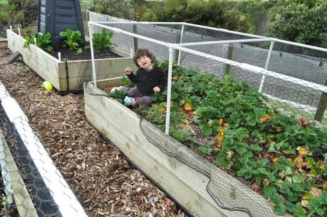 Photo of property in 17 Harbour Lights Terrace, Whitianga, 3592