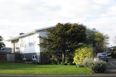 Photo of property in 15 Burn Street, Levin, 5510