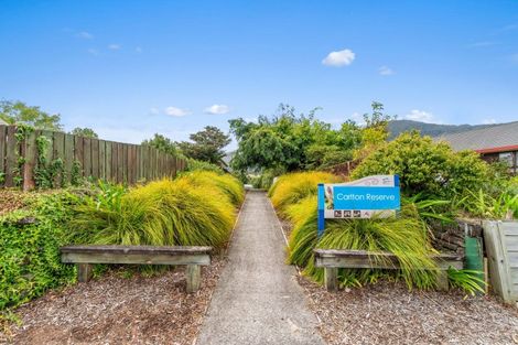 Photo of property in 103 Centennial Avenue, Te Aroha, 3320