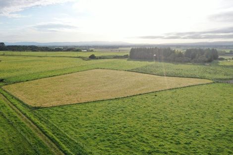 Photo of property in 8 Gill Lane, Rongotea, 4476