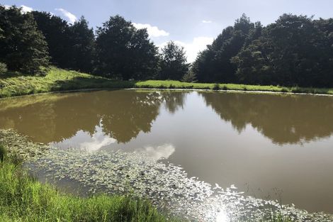 Photo of property in 504b Wairere Road, Maungaturoto, 0571