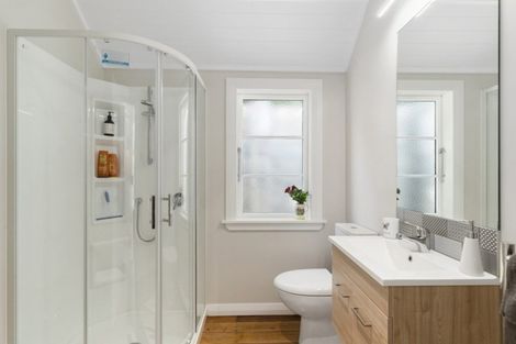 Photo of property in 45a Mana Street, Vogeltown, Wellington, 6021