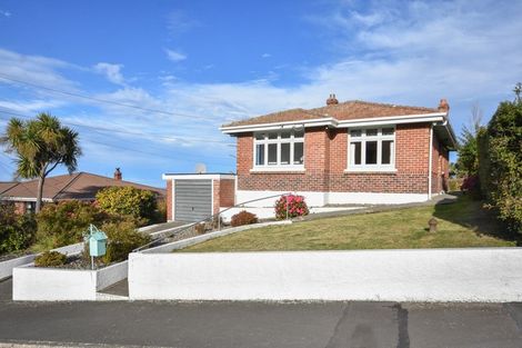 Photo of property in 115 Oakwood Avenue, Balaclava, Dunedin, 9011