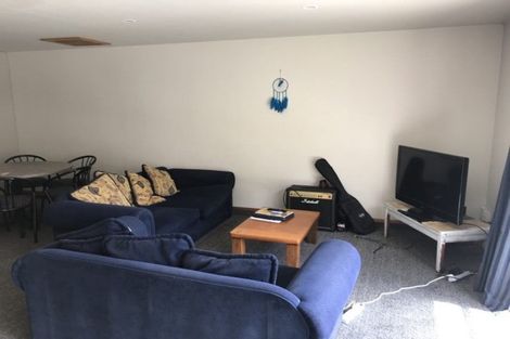 Photo of property in Includes 135, 137 Harbour Tce, 139 Harbour Terrace, North Dunedin, Dunedin, 9016