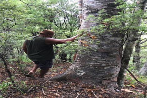 Photo of property in 31 Waitorupai Way, Matapouri, Whangarei, 0173