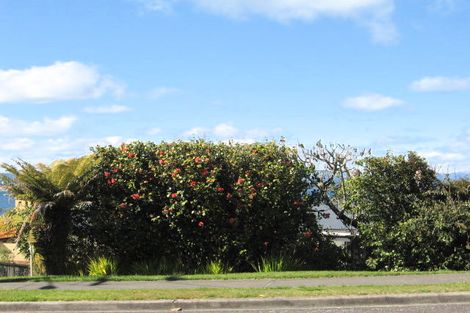 Photo of property in 49 Wakeman Road, Acacia Bay, Taupo, 3330