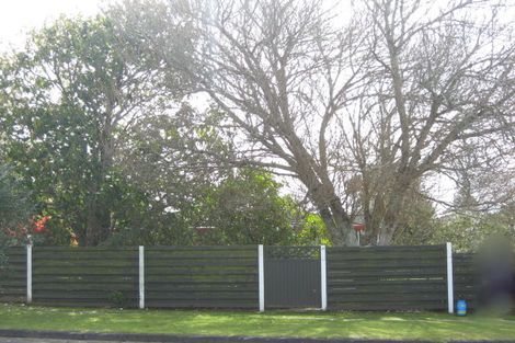 Photo of property in 20 Falstaff Street, Stratford, 4332