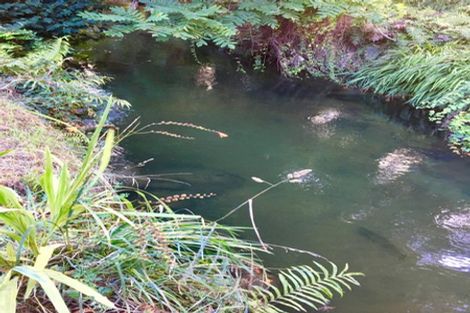 Photo of property in 13 La Trobe Place, Utuhina, Rotorua, 3015