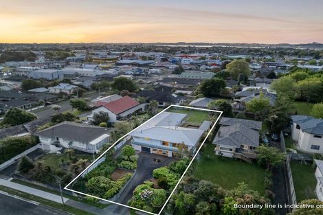 Photo of property in 115 Winchester Street, Levin, 5510