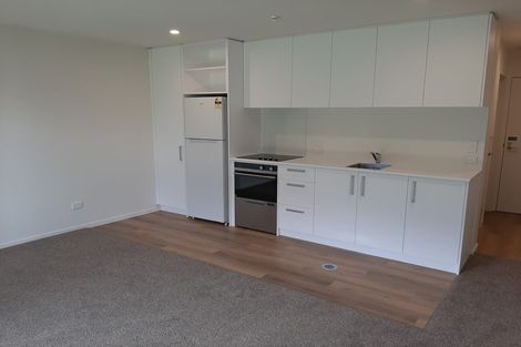 Photo of property in 118 Salisbury Street, Ashhurst, 4810