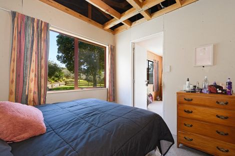 Photo of property in 249 Plummers Point Road, Whakamarama, Tauranga, 3172