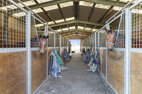 Photo of property in 353 Victoria Road, Pukemoremore, Cambridge, 3493