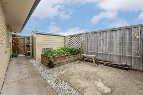 Photo of property in 7 Ward Street, Levin, 5510