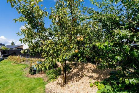 Photo of property in 13 Franks Place, Outram, 9019