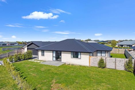 Photo of property in 31 Kingfisher Avenue, Amberley, 7410