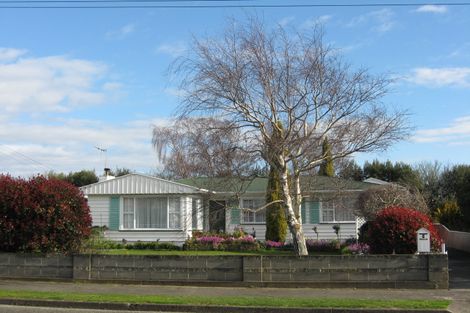 Photo of property in 8 Parsons Avenue, Levin, 5510