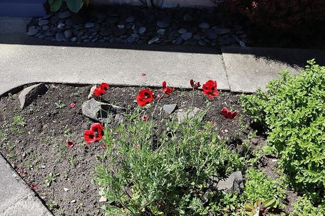 Photo of property in 27 Walbrook Crescent, Oamaru North, Oamaru, 9400