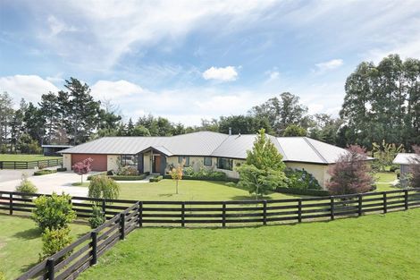 Photo of property in 255 Calico Line, Marton, 4787