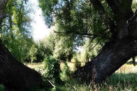 Photo of property in 306 Makaretu Road, Ashley Clinton, Takapau, 4286