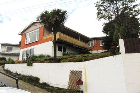 Photo of property in 17 Delphic Street, Sawyers Bay, Port Chalmers, 9023