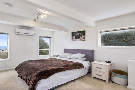 Photo of property in 117 Forfar Street, Clyde Hill, Dunedin, 9011