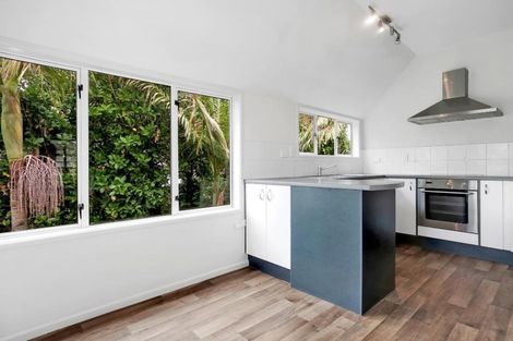 Photo of property in 17a Selbourne Street, Grey Lynn, Auckland, 1021