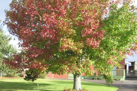 Photo of property in 27 Woodford Avenue, Henderson, Auckland, 0610