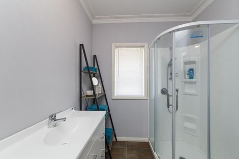 Photo of property in 117 Clevely Line, Bunnythorpe, Palmerston North, 4478