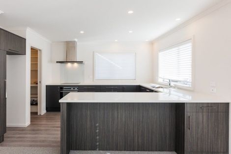 Photo of property in 14b Knowles Street, Terrace End, Palmerston North, 4410