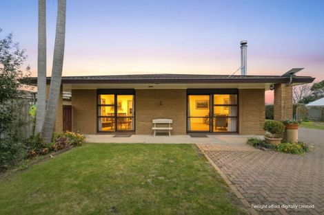 Photo of property in 101 Wily Road, Puni, Pukekohe, 2678
