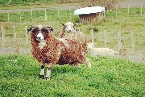 Photo of property in 35 Tawhero Street, Mamaku, 3020