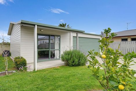 Photo of property in 135 Harrison Street, Whanganui, 4500